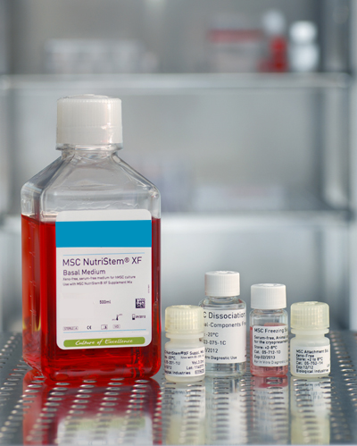 金牌胚胎干细胞专用胎牛血清(人,小鼠) FBS Qualified for Human & Mouse ES Cells